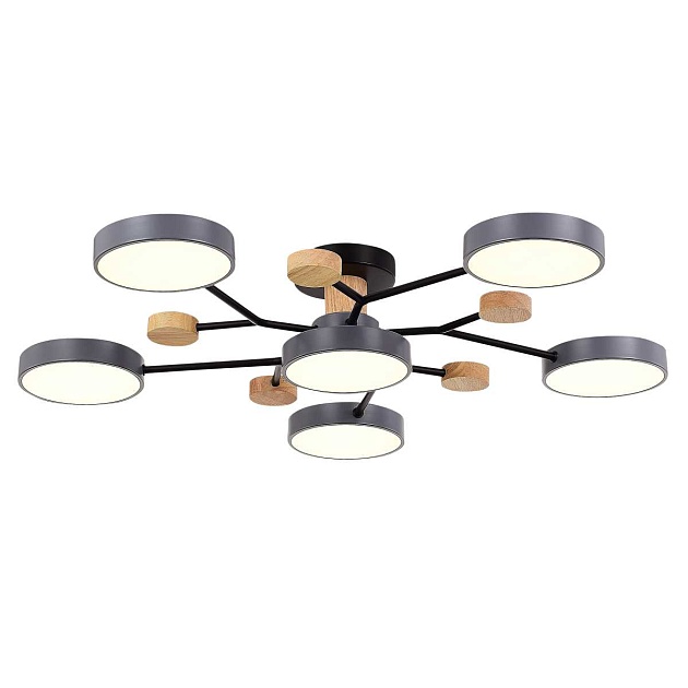 Потолочная светодиодная люстра Evoluce FAEMA SLE6006-702-06 изображение 1 Потолочная светодиодная люстра Evoluce FAEMA SLE6006-702-06 Фото № 1
