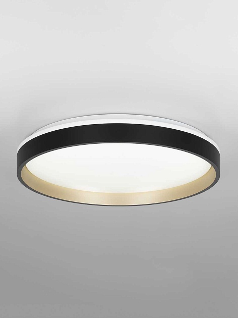 Светильник потолочный Citilux ENZO CL753451G Фото № 7