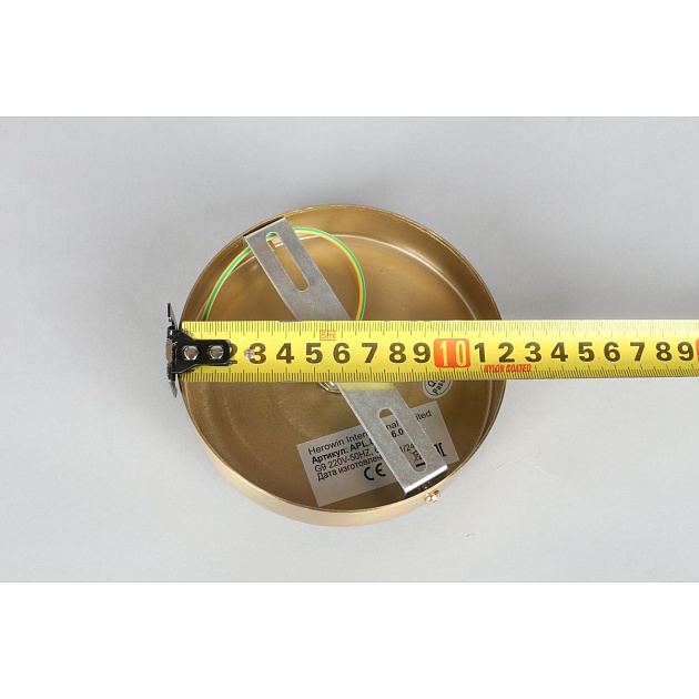 Подвесной светильник Aployt Ludovica APL.860.06.06 Фото № 3