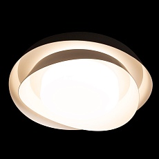 Потолочный светильник Loft IT Petale 10256 Black 3