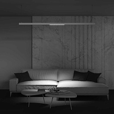 Трековый светильник Voltega Эксилайт / Exilight VGL031-2-24W4K-W 3