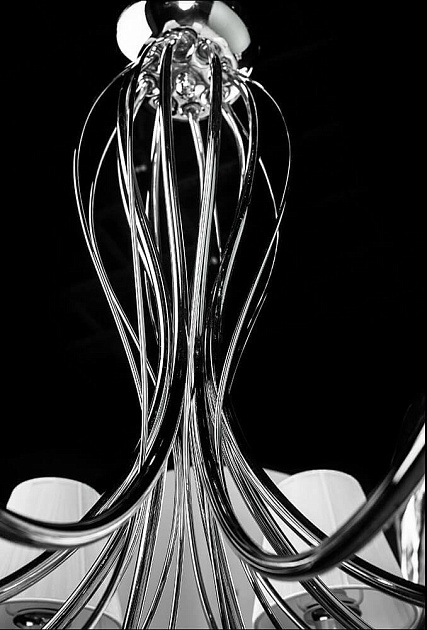 Подвесная люстра Arte Lamp Domain A9521LM-8CC Фото № 4