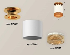 Комплект накладного светильника Ambrella light Techno Spot XS7401123 SWH/PYG/CF белый песок/золото желтое полированное/кофе (N7929, C7401, N7195) 1