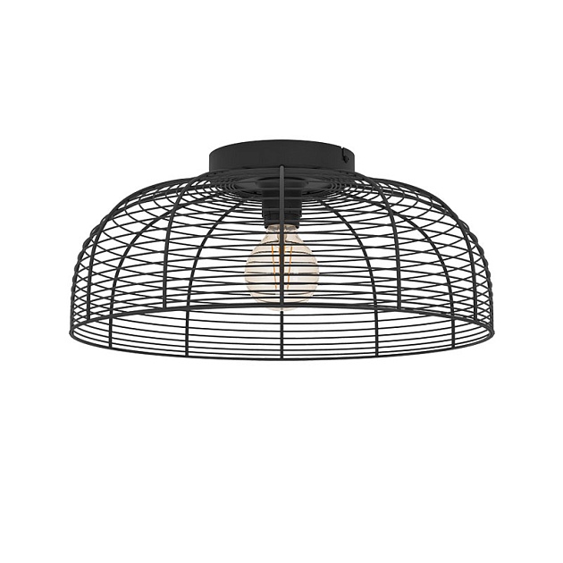 Потолочный светильник Eglo Rinroe 43896 Фото № 1