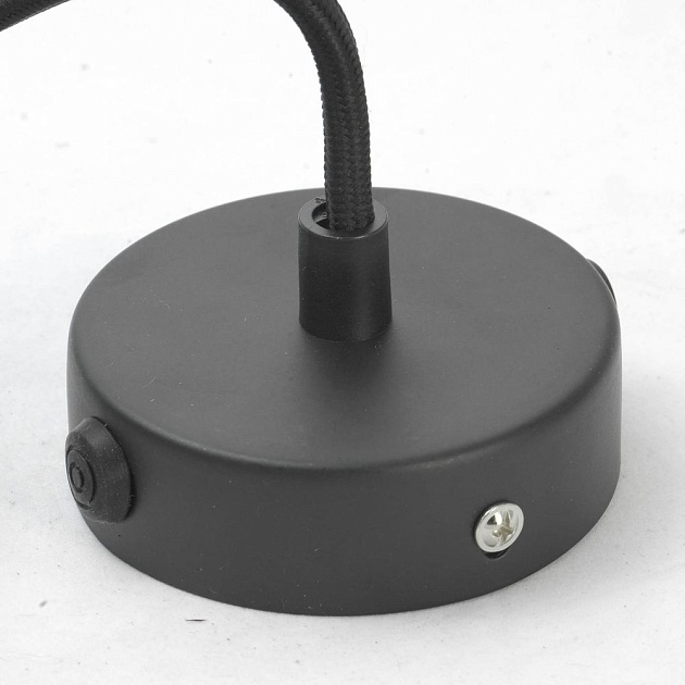 Подвесной светильник Lussole Loft Centereach GRLSP-9888 изображение 4 Подвесной светильник Lussole Loft Centereach GRLSP-9888 Фото № 4