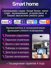 Потолочная светодиодная люстра Natali Kovaltseva Smart Home Led Lamps 81212 2