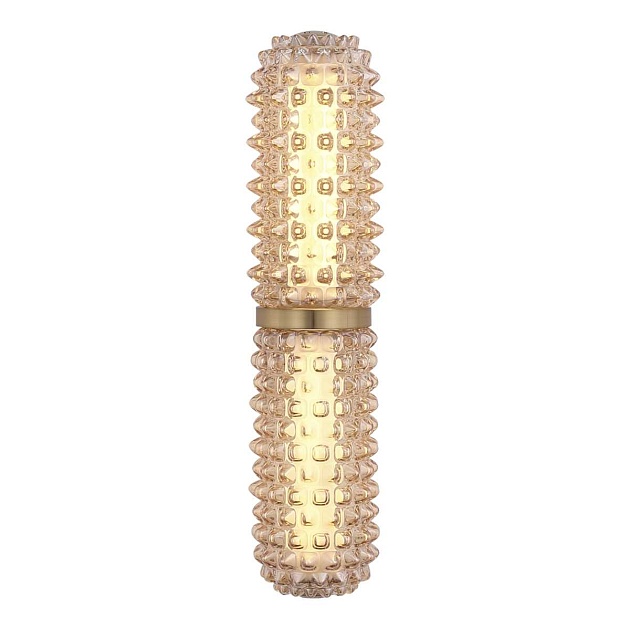 Настенный светильник ST Luce SAGUARO SL6144.301.01 изображение 6 Настенный светильник ST Luce SAGUARO SL6144.301.01 Фото № 6