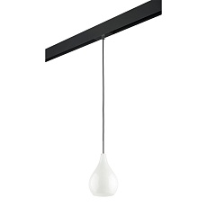 Комплект с трековым светильником Lightstar Pentola (803030+595007) PRO803030