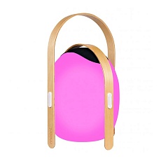 Настольная лампа iLedex Giggle OVS1100-CH WH 4