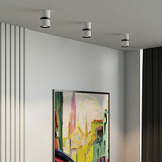 Потолочный светодиодный светильник Elektrostandard Kayo 25049/LED 12W 4000К белый/черный a064731 1