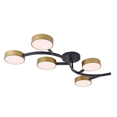 Потолочный светильник Freya Тибо / Tibo FR6048CL-L10GB 3