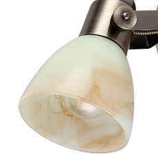 Спот Arte Lamp A9582AP-1AB 2