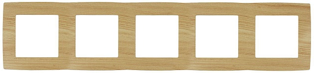 Рамка 5-постовая ЭРА 12 12-5005-11 Б0019150 Фото № 1