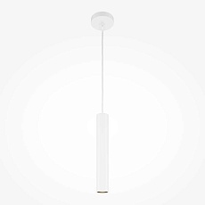 Подвесной светильник Maytoni Pro Focus MOD161PL-01W1 2