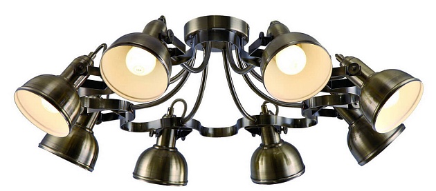 Потолочная люстра Arte Lamp Martin A5216PL-8BR фото 3