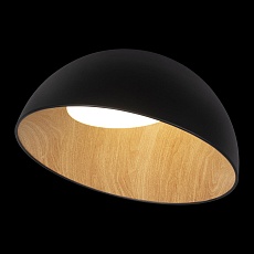 Потолочный светодиодный светильник Loft IT Egg 10197/500 Black 5