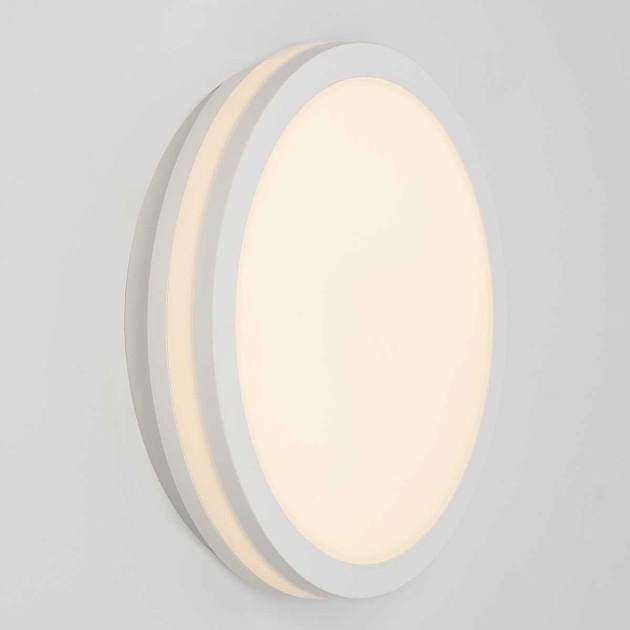 Светильник накладной Citilux LUNS CL711010V Фото № 2