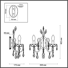 Бра Odeon Light Hall Versia 4977/2W 5