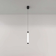 Подвесной светильник Maytoni Ray P022PL-L10B 4