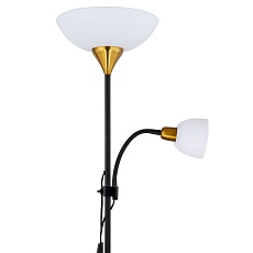 Торшер Arte Lamp Duetto A9569PN-2BK 3