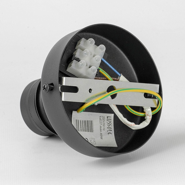 Бра Lussole LOFT Carter LSP-8863 Фото № 5