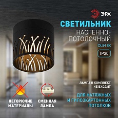 Настенно-потолочный светильник ЭРА OL54 BK Б0061192 2