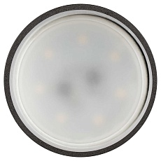 Настенно-потолочный светильник ЭРА Taurus OL58 BK Б0066782 2