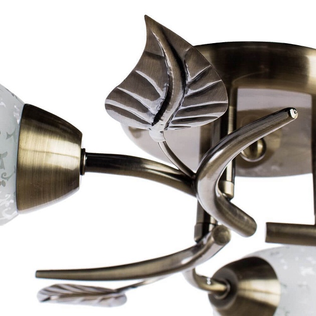 Потолочная люстра Arte Lamp Anetta A6157PL-3AB изображение 5 Потолочная люстра Arte Lamp Anetta A6157PL-3AB Фото № 5