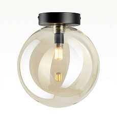 Светильник Citilux ORTON CL202512 1