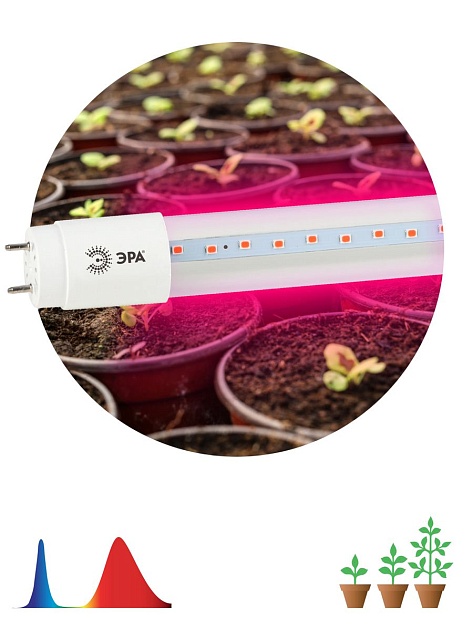 Лампа светодиодная для растений ЭРА G13 9W 1200K прозрачная Fito-9W-RB-Т8-G13-NL Б0042986 фото 4