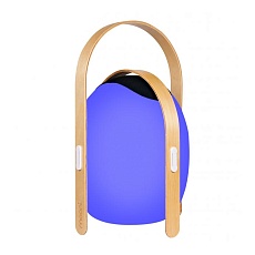 Настольная лампа iLedex Giggle OVS1100-CH WH 3