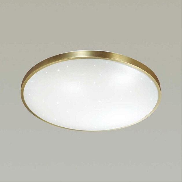Настенно-потолочный светодиодный светильник Sonex Pale Lota bronze 2089/CL фото 3