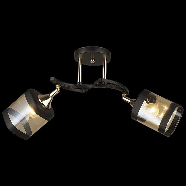 Спот Reluce 04484-0.3-02 BK+FGD Фото № 4