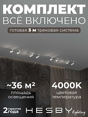 Встраиваемая однофазная трековая система Hesby Lighting Skylite №3 со светильниками HSBL_kompl_S003_VI3W4K