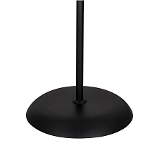 Торшер Arte Lamp Duetto A9569PN-2BK 1