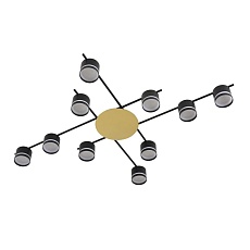 Светильник потолочный Lumion BENUA 8304/10C 3
