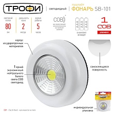 Настенный светодиодный светильник ЭРА Трофи SB-101 Б0052747 2
