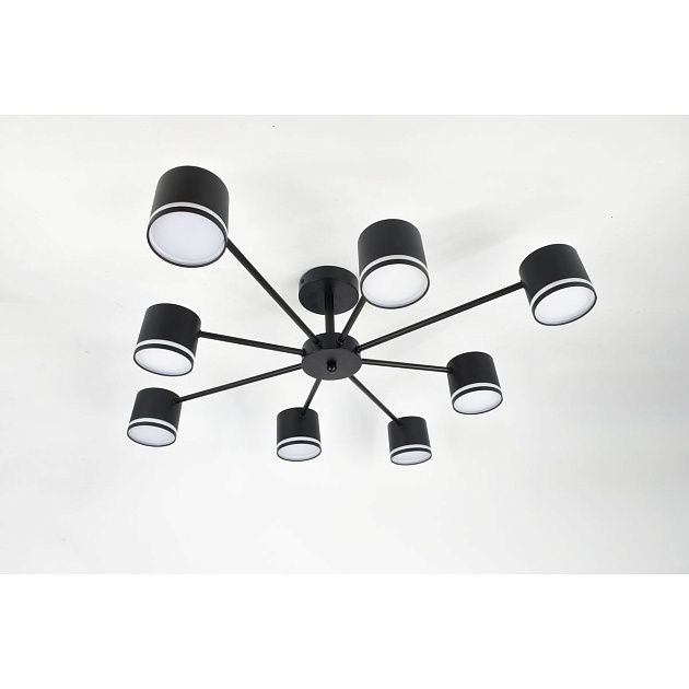 Потолочная люстра Rivoli Rosemary 3189-308 Б0071292 изображение 15 Потолочная люстра Rivoli Rosemary 3189-308 Б0071292 Фото № 15