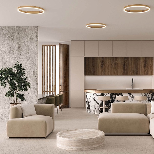 Потолочный светодиодный светильник Maytoni Rim MOD058CL-L50BK Фото № 2