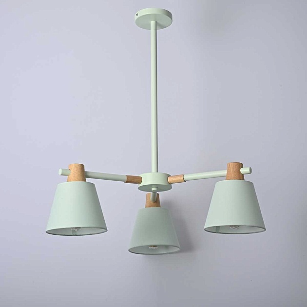 Подвесная люстра Imperium Loft Natura 101824-26 изображение 10 Подвесная люстра Imperium Loft Natura 101824-26 Фото № 10