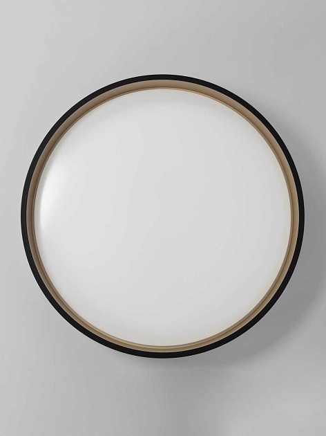 Светильник потолочный Citilux ENZO CL753451G Фото № 10