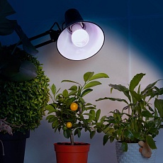 Лампа светодиодная для растений ЭРА E27 11W 2150K прозрачная FITO-11W-Ra90-E27 Б0039172 2