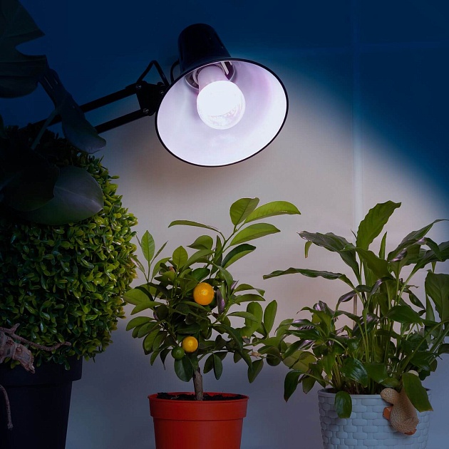 Лампа светодиодная для растений ЭРА E27 11W 2150K прозрачная FITO-11W-Ra90-E27 Б0039172 фото 3
