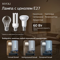Торшер Rivoli Andra 7092-601 Б0071553 1