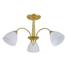 Потолочный светильник Escada ILEX ES0000032 1