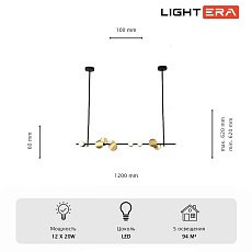 Светильник подвесной Lightera Ontario LE115L-12B 2