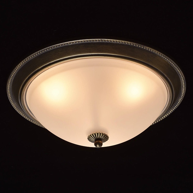 Потолочный светильник MW-Light Ариадна 450015503 фото 9
