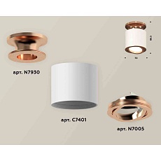 Комплект накладного светильника Ambrella light Techno Spot XS7401140 SWH/PPG белый песок/золото розовое полированное (N7930, C7401, N7005) 2