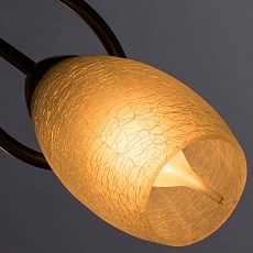 Потолочная люстра Arte Lamp Mutti A8616PL-3AB 1