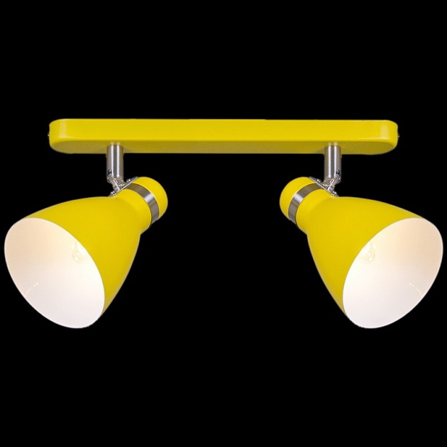 Спот Reluce 05060-0.8-02C YL изображение 1 Спот Reluce 05060-0.8-02C YL Фото № 1